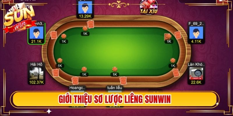 Giới thiệu sơ lược liêng Sunwin